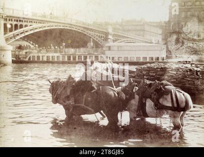 Pferde, die sich in der seine erfrischen, Solférino-Brücke, Quai Anatole-France, 7. Arrondissement, Paris, Atget, Eugène (Jean Eugène Auguste Atget), Fotograf, 1898, Fotografie, Grafik, Fotografie, Albumendruck, Abmessungen - Arbeit: Höhe: 17,5 cm, Breite: 22,1 cm, Abmessungen - Originalbefestigung:, Höhe: 23,8 cm, Breite: 29,7 cm Stockfoto