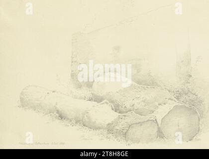 CARL THEODOR REIFFENSTEIN, abgesägte Baumstämme vor einer Wand im Rothenburger Wildbad, 12. Juli 1869, Blatt, 185 x 271 mm, Bleistift auf Papier, abgesägte Baumstämme vor einer Wand im Rothenburger Wildbad, CARL THEODOR REIFFENSTEIN, Seite, Klebebänder, Band 29, Seite 37, Teilenummer / gesamt, 1 / 2, ROTHENBURG ob DER TAUBER, 19. JAHRHUNDERT, ZEICHNUNG, Bleistift auf Papier, GRAPHIT-TON-MISCHUNG, PAPIER, BLEISTIFTZEICHNUNG, DEUTSCH, BAUMSTUDIUM, ARCHITEKTURSTUDIUM, REISESTUBE, STUDIE, datiert und vermerkt links unten, in Bleistift, Wildbad bei Rothenburg 12. Juli 1869., nummeriert auf der Seite über dem Stockfoto