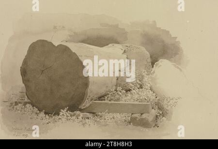 CARL THEODOR REIFFENSTEIN, abgesägte Baumstämme im Rothenburger Wildbad, 11. Juli 1869, Blatt, 134 x 211 mm, Pinsel graubraun über Bleistift auf Papier, abgesägte Baumstämme im Rothenburger Wildbad, CARL THEODOR REIFFENSTEIN, Seite, Klebebänder, Band 29, Seite 37, Teilenummer / gesamt, 2 / 2, ROTHENBURG ob DER TAUBER, 19. JAHRHUNDERT, ZEICHNUNG, Pinsel in Graubraun über Bleistift auf Papier, TINTE?, TINTE?, GRAPHIT-TON-MISCHUNG, PAPIER, PINSELZEICHNUNG, BLEISTIFTZEICHNUNG, DEUTSCH, BAUMSTUDIE, REISESTUDIE, STUDIE, datiert und beschriftet unten links, mit braunem Stift, Wildbad Rothenburg / 11. Juli 1869 Stockfoto