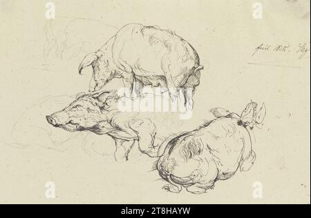 FRIEDRICH NERLY, drei Schweine, CA. 1828, Blatt, 17,8 x 25,7 mm, Stift in schwarz über Bleistift auf vergé-Papier, drei Schweine, FRIEDRICH NERLY, 19. JAHRHUNDERT, ZEICHNUNG, Stift in schwarz über Bleistift auf vergé-Papier, TINTE ?, TINTE?, GRAPHIT-TON-MISCHUNG, VERSION PAPIER, STIFTZEICHNUNG, BLEISTIFTZEICHNUNG, DEUTSCH, TIERSTUDIE, signiert und beschriftet oben rechts, mit dem Stift in schwarz, Stuck Nerly Stockfoto