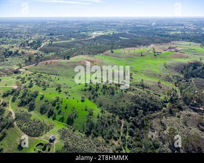 Drohnenansicht der Weiden der Provinz Huelva mit Korkeichen und grünen Wiesen Stockfoto