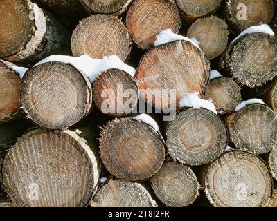 Gestapeltes Holz mit Schnee bedeckt Stockfoto