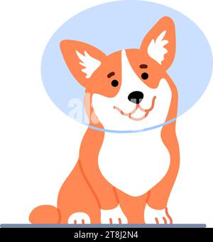 Süßer, kleiner walisischer Corgi mit Schutzkegel Stock Vektor