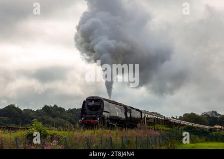 Dampfzug in Bewegung mit Kutschen Stockfoto