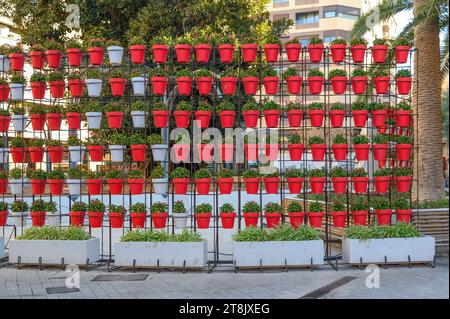 Murcia, Spanien, Plaza de Santo Domingo Stockfoto