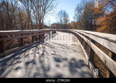 Eine späte Nachmittagssonne wirft Schatten von Bäumen über eine Promenade durch einen Wald im Herbst. Stockfoto