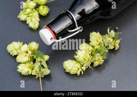 Gewöhnlicher Hopfen (Humulus lupulus), Flaschenbier und Hopfenkegel Stockfoto