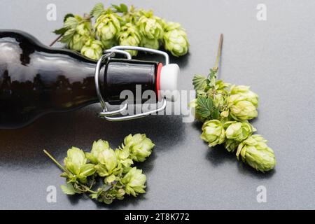 Gewöhnlicher Hopfen (Humulus lupulus), Flaschenbier und Hopfenkegel Stockfoto