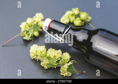 Gewöhnlicher Hopfen (Humulus lupulus), Flaschenbier und Hopfenkegel Stockfoto