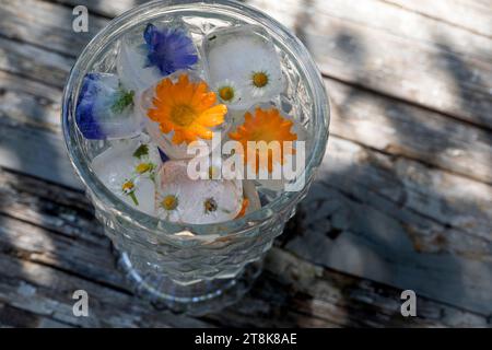 selbstgemachte Eiswürfel aus Frühlingskräutern und Blumen in einem Glas Wasser Stockfoto