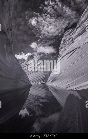 Die Welle mit Wasser, Coyote Buttes North, Vermillion Wilderness, Arizona Stockfoto