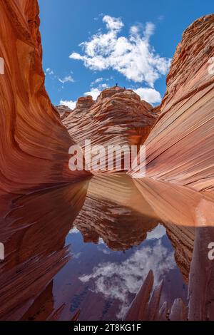 Die Welle mit Wasser, Coyote Buttes North, Vermillion Wilderness, Arizona Stockfoto