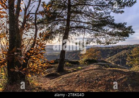 Site de la Roche en automne Stockfoto