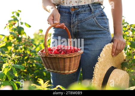 Frau mit Korbkorb mit Reifen Himbeeren und Strohhut draußen, Nahaufnahme Stockfoto