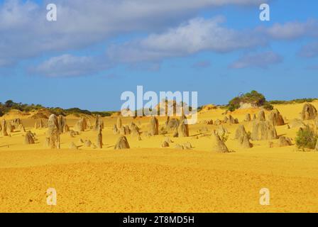 Die Pinnacles Desert ist bekannt für ihre massiven Kalksteinsäulen, die sich aus dem Sandboden der Wüste erheben, Nambung National Park, Western Australia. Stockfoto