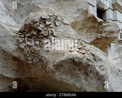 Gemüsedetail - der Trevi-Brunnen (1732-1762) in Rom (40872279771). Stockfoto