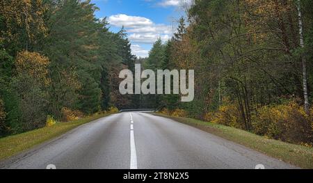 Zweispurige Asphaltstraße, die geradeaus durch einen Wald führt, beiderseits der Straße, Bäume in Grün- und Gelbtönen, was auf das Meer hindeutet Stockfoto