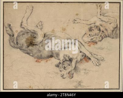 Zwei Dying Hounds, Frans Snyders (Antwerpen 1579 - 1657 Antwerpen), Zeichnung, Schwarze Kreide, rote Kreide, erhöht mit weißer Kreide, auf bräunlichem Papier; Bildunterschrift: Graphitstift. Stellenweise braune Flecken; durchgehende horizontale Falte am oberen Rand., 24 x 32,4 cm, l.l., Herzog Albrecht von Sachsen-Teschen Stockfoto