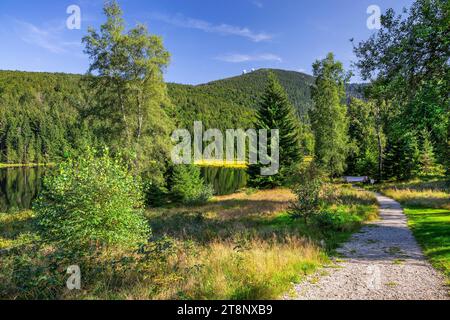 Wanderweg im Naturschutzgebiet kleiner Arbersee mit großem Arber 1456m, Lohberg, Karsee, Bayerischer Wald, Oberpfalz, Bayern, Deutschland Stockfoto