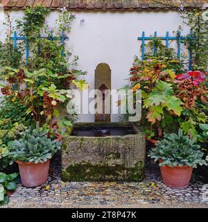 Garten mit originalem Brunnen, Verbindung zwischen dem Deutschen Romantischen Museum und dem Goethe-Haus, Frankfurt am Main, Hessen, Deutschland Stockfoto