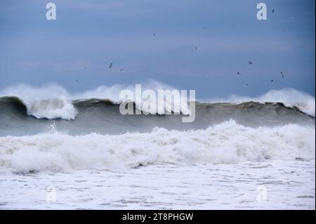 Gewaltige Wellen während eines unglaublich mächtigen Sturms im Schwarzen Meer. Stockfoto