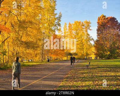 Wanderweg mit vorbeiziehenden Figuren, die an einem schönen sonnigen Tag in einem Stadtpark mit gelbem und orangefarbenem Laub zur goldenen Stunde spazieren gehen. Stockfoto