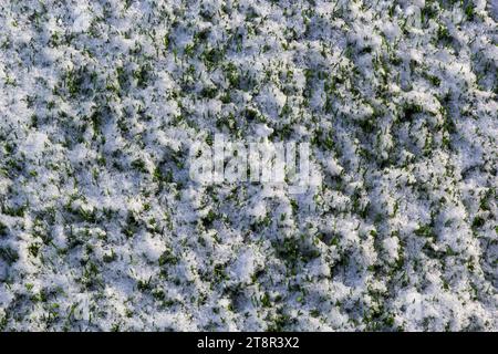 Das Fußballfeld mit Kunstrasen ist mit einer leichten Schneeschicht bedeckt. Frühling. Grünes Gras auf dem Fußballfeld ist von zu sehen Stockfoto