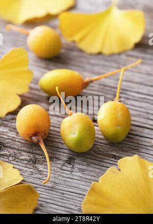 Reife Ginkgo-Früchte mit frischen gelben Blättern auf dem Holztisch. Traditionelle, pflanzliche Medizin und Homöopathie. Selektiver Fokus. Stockfoto