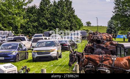 Eine große Gruppe von Amish Horse und Buggys für eine Veranstaltung in Lancaster, Pennsylvania an einem sonnigen Sommertag Stockfoto