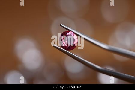 Juwelier in Werkstatt hält rosa Stein in Pinzette Stockfoto