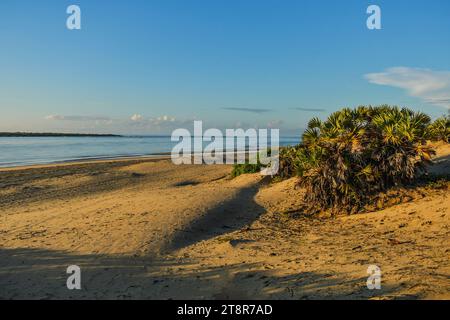 Sanddünen am Shela Beach bei Sonnenaufgang in Lamu Isand, Kenia Stockfoto