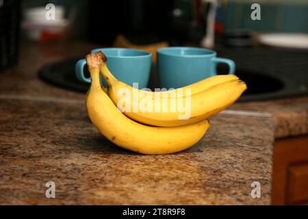 Bananen liegen auf einem soliden Holztisch. Süße reife Bananen mit gelber Haut Stockfoto