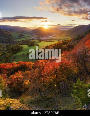 Herrlicher farbenfroher Herbsttag im Park, viele Bäume auf den orangen Hügeln. Stockfoto