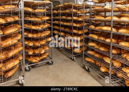 Frisch gebackenes Brot stapelbar und fertig für die Verpackung im Werk Stockfoto