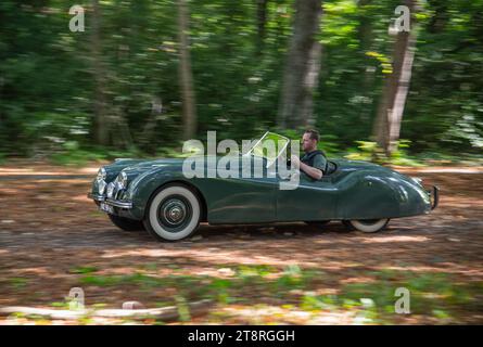 Früher (1948) linkslenkender Jaguar XK120 klassischer britischer Sportwagen Stockfoto