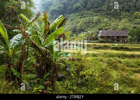 Alte Bauernhäuser in Ban Gioc in Vietnam Stockfoto