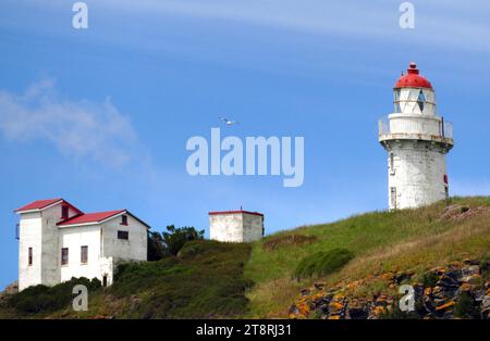 Taiaroa Head Lighthouse Otago Peninsula, wenn Sie sich um den Punkt in den Hafen der Otago Peninsula vor der Südinsel Neuseelands begeben, sehen Sie den Taiaroa Head Lighthouse, der hoch auf einer steilen Felsklippe liegt Stockfoto