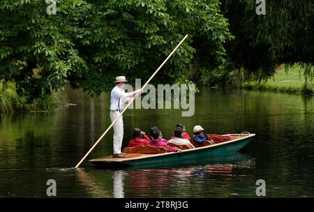 Auf den Avon schlagen. Christchurch, Neuseeland. NZ, Punting am Avon River ist eine berühmte Sehenswürdigkeit in Christchurch, Neuseeland, die Sie sich nicht entgehen lassen sollten. Abfahrt von der historischen Anlegestelle von Antigua, wo Ihr Punter Sie ruhig an Trauerweiden, Wäldern und den grünen Ufern des North Hagley Park entlang der Christchurch, dem New Zealand Botanic Gardens, führt Stockfoto