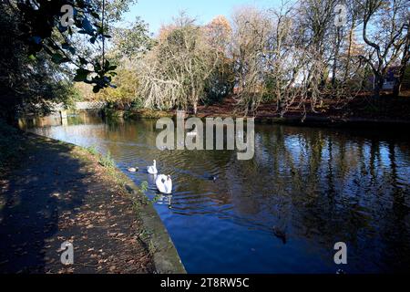 see in den botanischen Gärten von Churchtown southport merseyside Churchtown southport merseyside england großbritannien Stockfoto