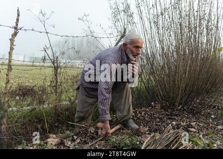 Ganderbal, Indien. November 2023. Ein Bauer arbeitet an einem kalten nebeligen Tag in Ganderbal auf einem Zweigfeld. Kälte greift Kaschmir als Nebeldecke Tal und beeinträchtigt die Sicht in den verschiedenen Bereichen. Das Meteorologische Zentrum in Srinagar prognostiziert trockenes Wetter für Jammu und Kaschmir, aber isolierter Morgennebel könnte in der Kaschmir-Division bestehen bleiben. (Foto: Idrees Abbas/SOPA Images/SIPA USA) Credit: SIPA USA/Alamy Live News Stockfoto