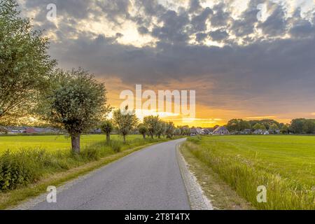 Niederländische Dorflandschaft mit Pollard Willows und alten Farmen in der Ferne. Landschaftsszene der Natur in Europa. Weerribben, Overijssel, Niederlande. Stockfoto