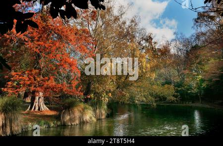 Hagley Park ist der größte städtische Freiraum in Christchurch, Neuseeland, und wurde 1855 von der Provinzregierung gegründet. Nach dem damaligen Erlass der Regierung ist Hagley Park für immer als öffentlicher Park reserviert und soll für die Erholung und den Genuss der Öffentlichkeit geöffnet sein Stockfoto