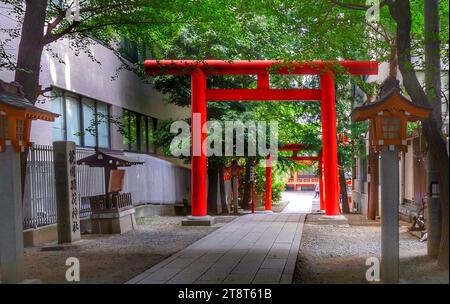 Hanazono-Schrein, Shinjuku, Ein Torii ist ein traditionelles japanisches Tor, das am häufigsten am Eingang eines Shinto-Schreins oder innerhalb eines Shinto-Schreins zu finden ist, wo es symbolisch den Übergang vom banalen zum Heiligen markiert Stockfoto