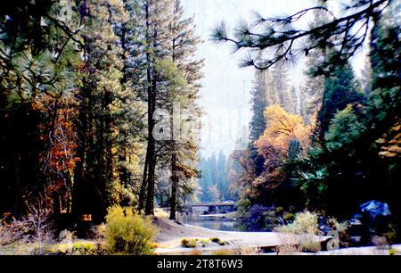 Yosemite National Park, Yosemite National Park liegt in den Bergen der Sierra Nevada. Es ist berühmt für seine riesigen, alten Mammutbäume und für den Tunnel View, die berühmte aussicht auf den majestätischen Bridalveil Fall und die Granitklippen von El Capitan und Half Dome. In Yosemite Village gibt es Geschäfte, Restaurants, Unterkünfte, das Yosemite Museum und die Ansel Adams Gallery, mit Drucken der Fotografen, die berühmte Schwarzweißlandschaften der Gegend Stockfoto