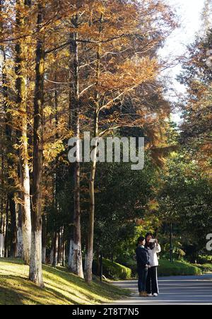 Nanchang, Chinas Provinz Jiangxi. November 2023. Besucher besuchen den Meiling-Nationalpark in Nanchang, ostchinesischer Provinz Jiangxi, 20. November 2023. Quelle: Wan Xiang/Xinhua/Alamy Live News Stockfoto