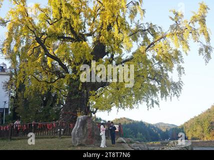 Nanchang, Chinas Provinz Jiangxi. November 2023. Besucher besuchen den Meiling-Nationalpark in Nanchang, ostchinesischer Provinz Jiangxi, 20. November 2023. Quelle: Wan Xiang/Xinhua/Alamy Live News Stockfoto