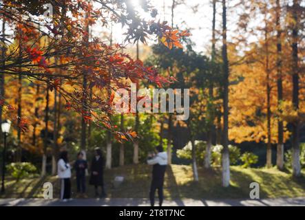 Nanchang, Chinas Provinz Jiangxi. November 2023. Besucher besuchen den Meiling-Nationalpark in Nanchang, ostchinesischer Provinz Jiangxi, 20. November 2023. Quelle: Wan Xiang/Xinhua/Alamy Live News Stockfoto