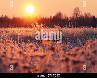 Sonnenaufgang in einer frostigen Landschaft mit warmen Farben Stockfoto