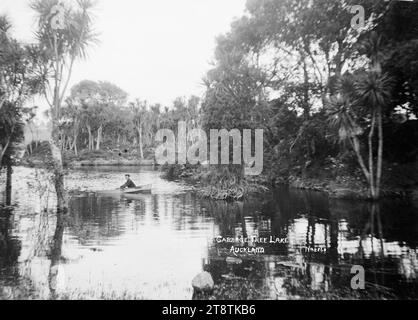 Blick auf den Cabbage Tree Lake, Auckland, Neuseeland, Blick auf einen kleinen See umgeben von Kohl, mit einem Mann in einem Ruderboot in der Mitte des Sees. Anfang der 1900er Jahre Stockfoto