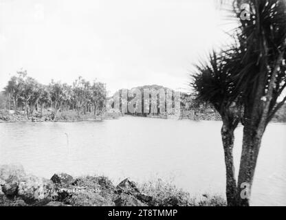 Blick auf den Cabbage Tree Lake, Auckland, Neuseeland, Blick auf einen kleinen See, der von Kohl umgeben ist, Anfang der 1900er Jahre Stockfoto